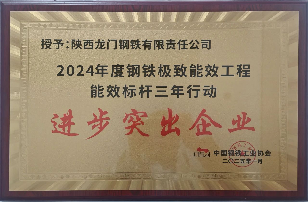 喜訊！龍鋼公司榮獲2024年度鋼鐵極致能效工程能效 標(biāo)桿三年行動(dòng)“進(jìn)步突出企業(yè)”
