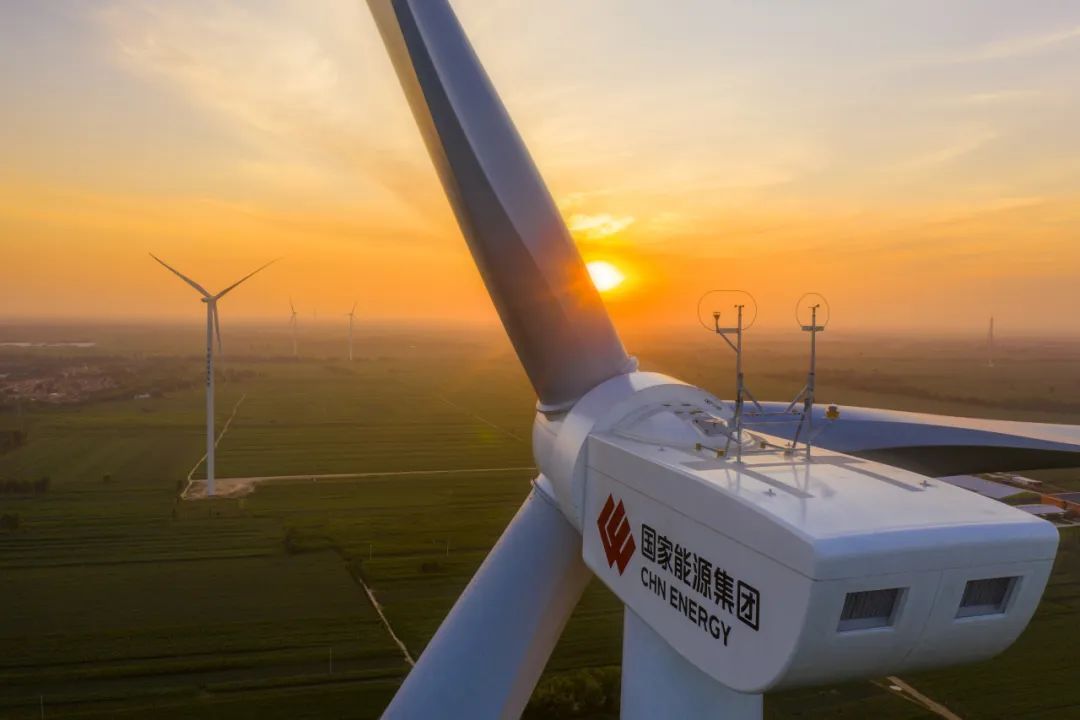 “禹龍”鋼材賦能國能白水風電項目，鑄就綠色能源合作典范